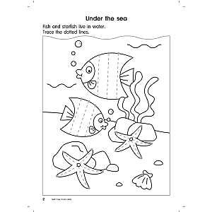 BRIGHT KIDS 2023 - IQ STARTER 2 FOR NURSERY LEARNERS