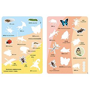 STICKER BOOK (CHINESE EDITION) SET 1